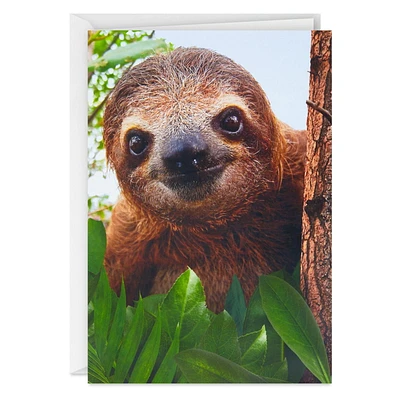 Hallmark Friendship Card, Thinking of You Card (Sloth)