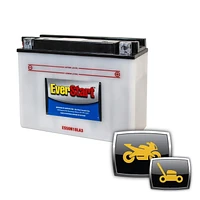 EverStart POWERSPORT ES50N18LA3, 12 Volt, Power Sports Battery, 260 CCA, Everstart, Power Sports Battery