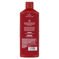 Shampooing et revitalisant 2 en 1 pour hommes Fiji 400 mL