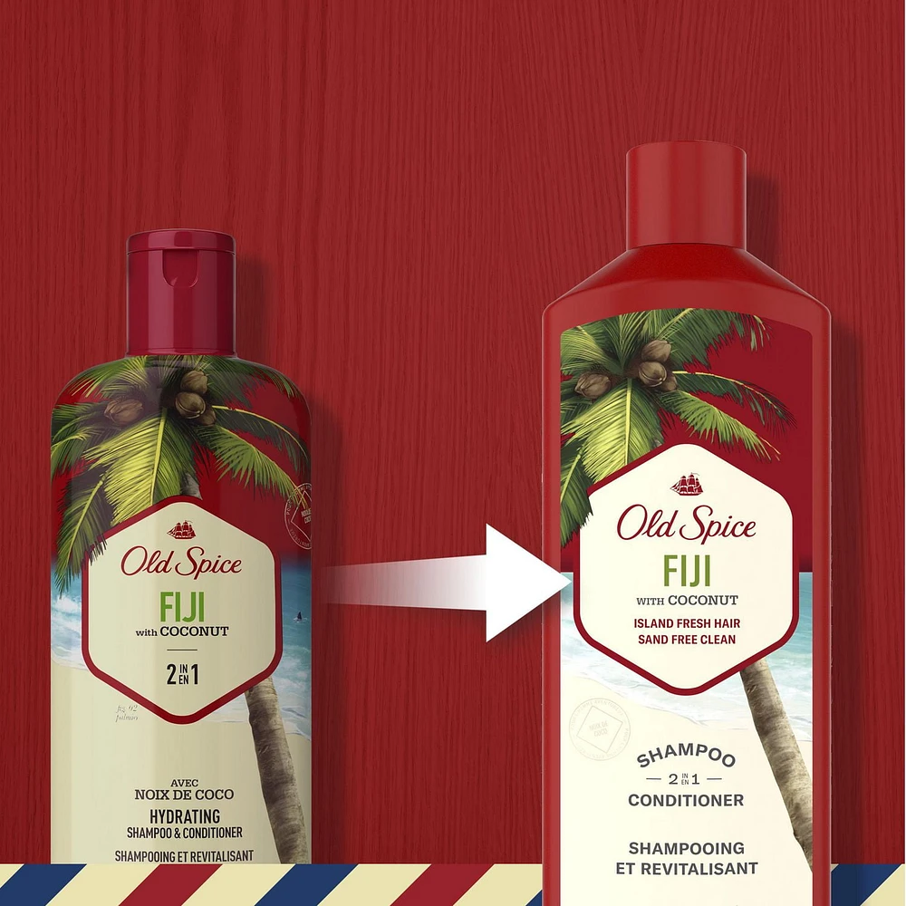 Shampooing et revitalisant 2 en 1 pour hommes Fiji 400 mL