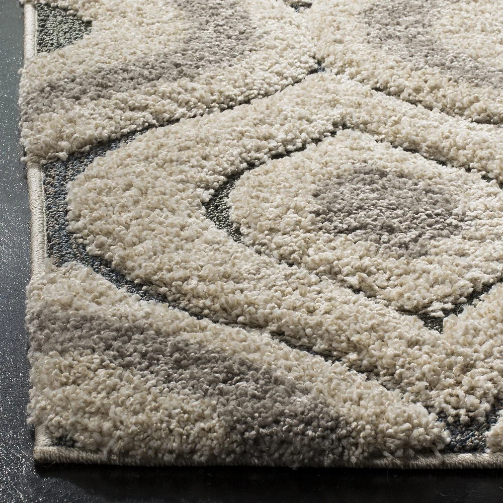 Safavieh Florida Declan Geometric Swirls Shag Area Rug