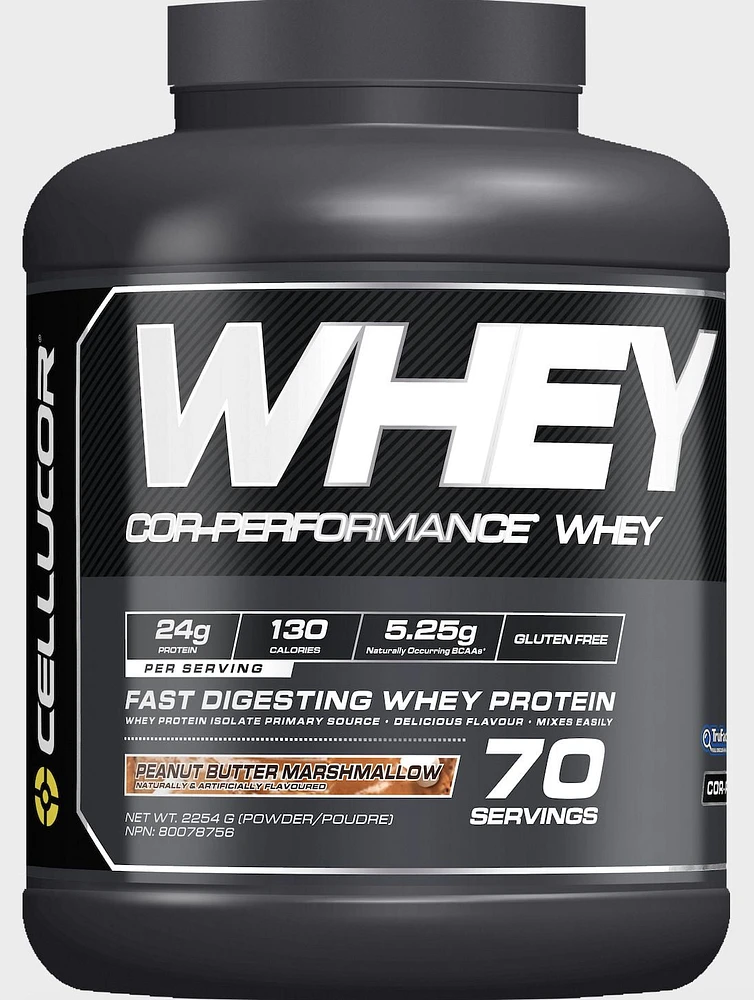 Cellucor Whey Protein Isolate & Concentrate Blend Powder with BCAAs, Post Workout Recovery Drink, Gluten Free, Low Carb, Low Fat, Peanut Butter Marshmallow, 70 Servings