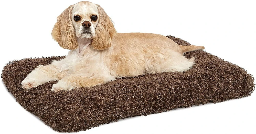 Lit pour chien deluxe Coco Chic de MidWest