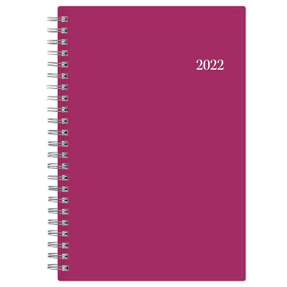 Blue Sky Analeis Medium Weekly/Monthly Planner for 2022