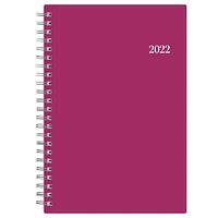 Blue Sky Analeis Medium Weekly/Monthly Planner for 2022