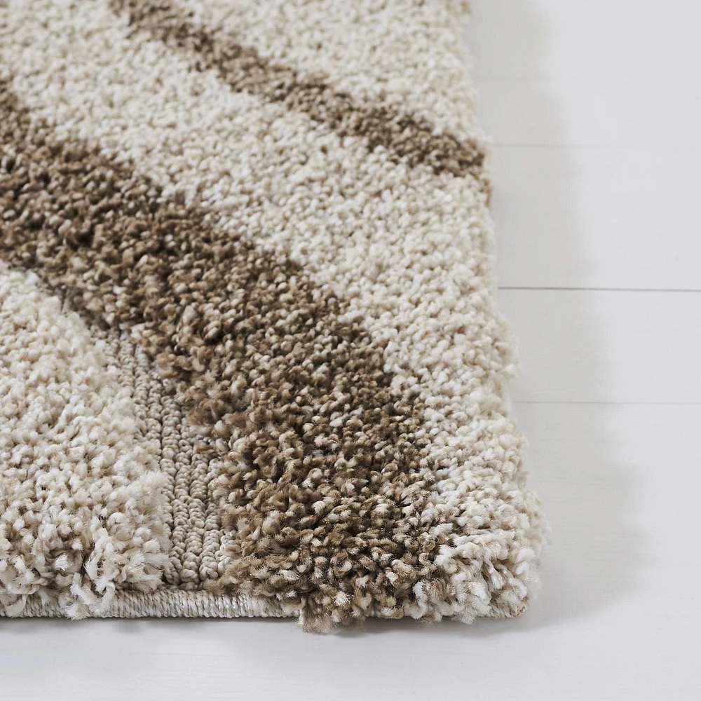 Safavieh Florida Declan Geometric Swirls Shag Area Rug
