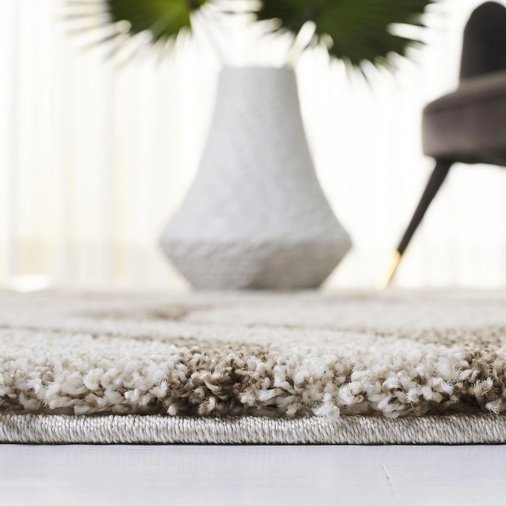 Safavieh Florida Declan Geometric Swirls Shag Area Rug