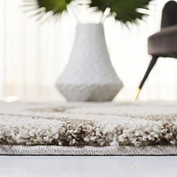 Safavieh Florida Declan Geometric Swirls Shag Area Rug