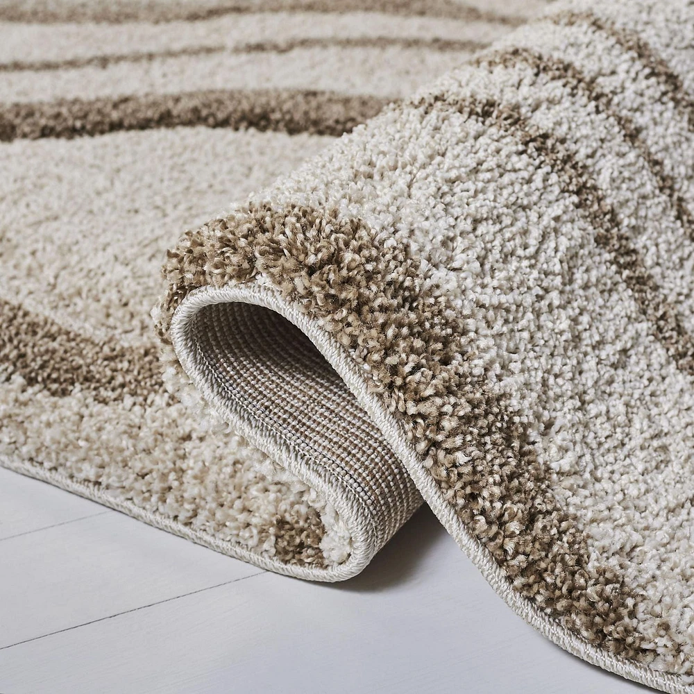 Safavieh Florida Declan Geometric Swirls Shag Area Rug