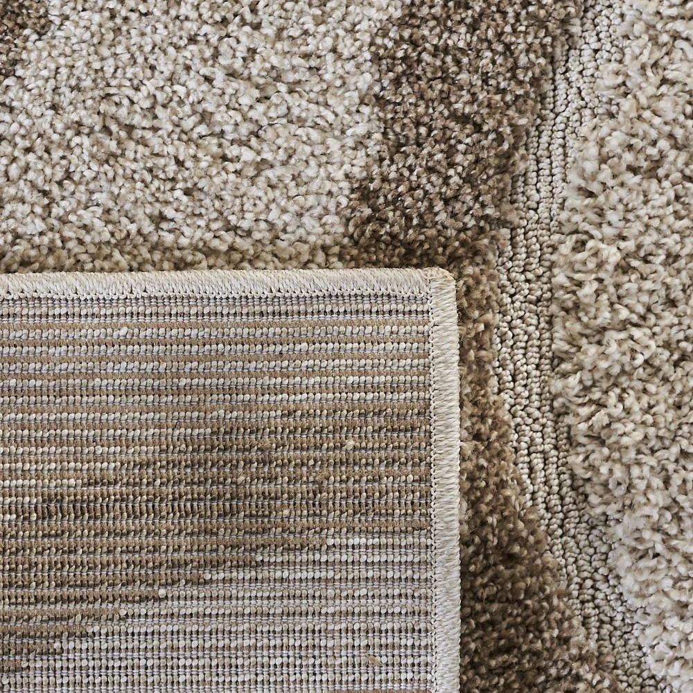 Safavieh Florida Declan Geometric Swirls Shag Area Rug