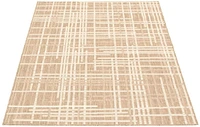 ECARPET Indoor Outdoor Area Rug for Patio, Deck, Living Room Sisal Burburry Collection