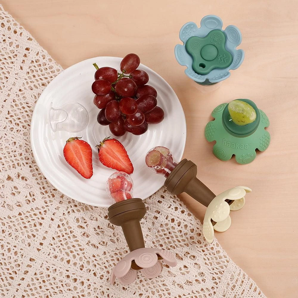 haakaa Flower Fresh Food Feeder & Cover Set - Blush