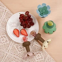 haakaa Flower Fresh Food Feeder & Cover Set - Blush