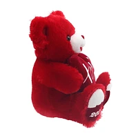 Way To Celebrate Valentine Sweetheart Teddy, Red