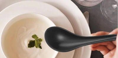 Sunwealth 100% Premiume Melamine Spoon, Spoon