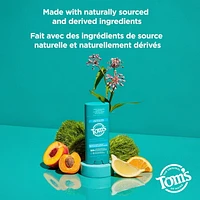 Tom’s of Maine Mountain Spring Natural Deodorant for Men and Women, Aluminum Free, 92g, Tom's of Maine Mountain Spring Deodorant