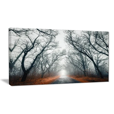 Design Art Mystic Road in Forest Landscape Photo Canvas Print