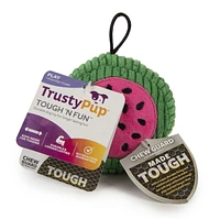 TrustyPup Watermelon Dog Toy