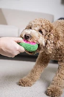 TrustyPup Watermelon Dog Toy