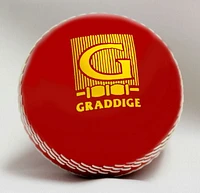 Graddige Plastic Cricket Ball