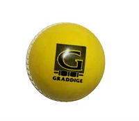 Graddige Plastic Cricket Ball