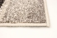 ECARPET Area Rug for Living Room, Bedroom