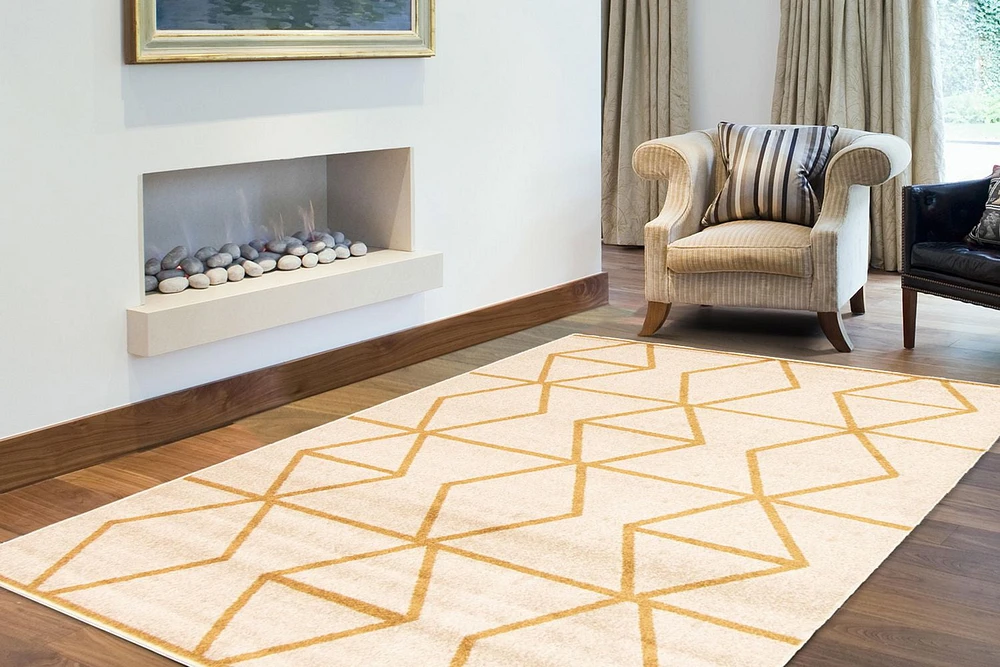 ECARPET Living Room Bedroom Carpet, Geometric Indoor Area Rug Ana Collection