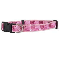 Aspen Pet Fashion Dog Collar - Flower Burst Pink