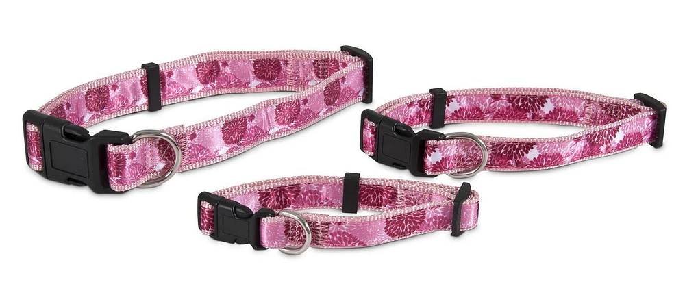 Aspen Pet Fashion Dog Collar - Flower Burst Pink