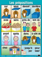 French Grammar Anchor Posters