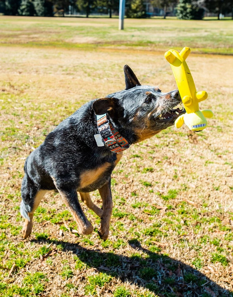 Multipet Smiling Loofa Dog, Peluche et Jouet Pour Chien Banane en Latex