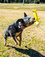 Multipet Smiling Loofa Dog, Peluche et Jouet Pour Chien Banane en Latex