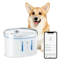 Filtres de remplacement pour fontaine à chien Geeni PetConnect, paquet de 12