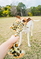 Multipet Swingin' Safari Leopard Dog Toy, Swingin Leopard Dog Toy