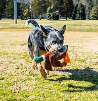 Multipet Duck Dog Toy - Dog Comfort Toy, Duck Dog Toy