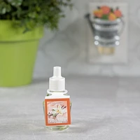 ScentSationals ScentCharm Oil - Cashmere Vanilla, 0.8 Fl oz, 24 mL Refill