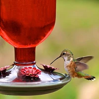 Perky-Pet Red Antique Bottle Hummingbird Feeder