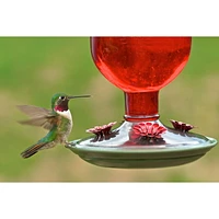 Perky-Pet Red Antique Bottle Hummingbird Feeder