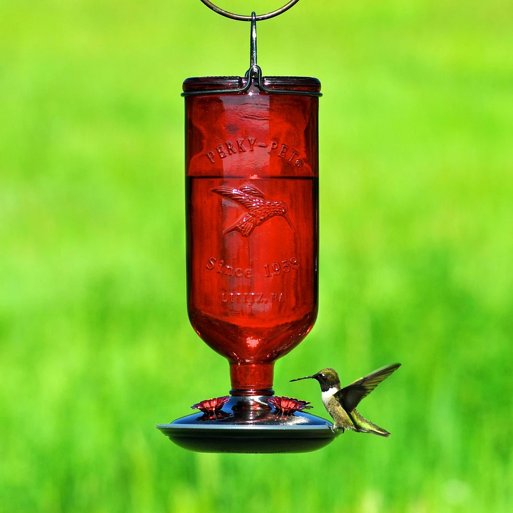 Perky-Pet Red Antique Bottle Hummingbird Feeder