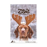 calendrier des Fêtes Zoë pour chiens avec régals à l’érable et de bacon
