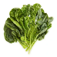 Spinach, Sold in bunches