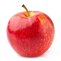 Apple, Gala, Sold in singles, 0.13 - 0.18 kg