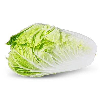 Cabbage, Napa, Sold in singles, 1.40 - 1.54 kg