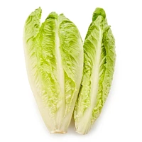 Lettuce, Romaine, Sold in singles