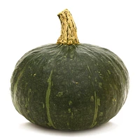 Squash, Buttercup, Sold in singles, 1.18 - 1.47 kg