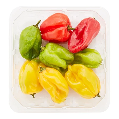 Poivrons scotch bonnet