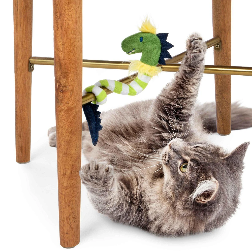 SmartyKat Bendy Buddy, Bendable Plush Dinosaur Catnip Cat Toy