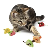 Tranches de skitter SmartyKat Jouets pour chat Catnip Mice, lot de 5