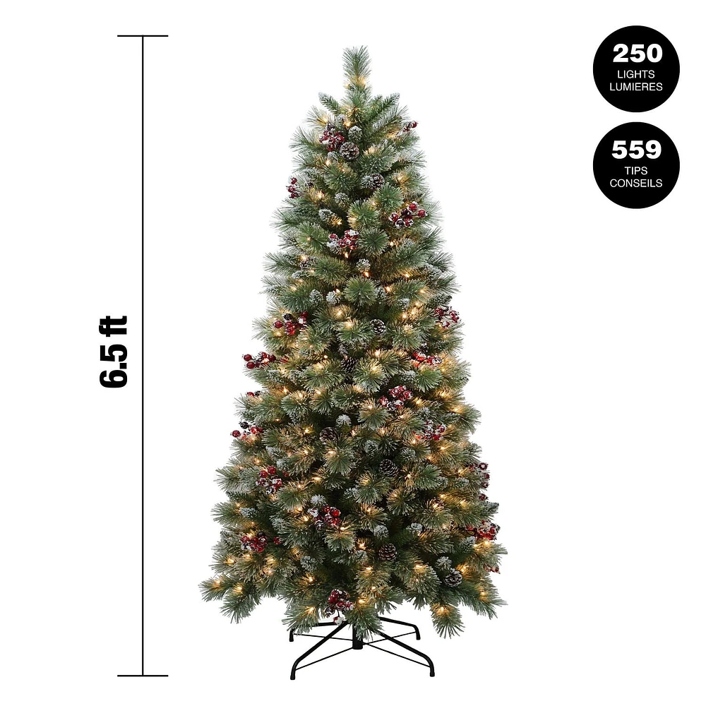 6.5FT prelit glitter/frosted mixed hard needle & cashmere tree, 250 clear incandescent lights, 559tips