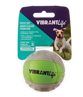Rapporter une balle FETCH TOY